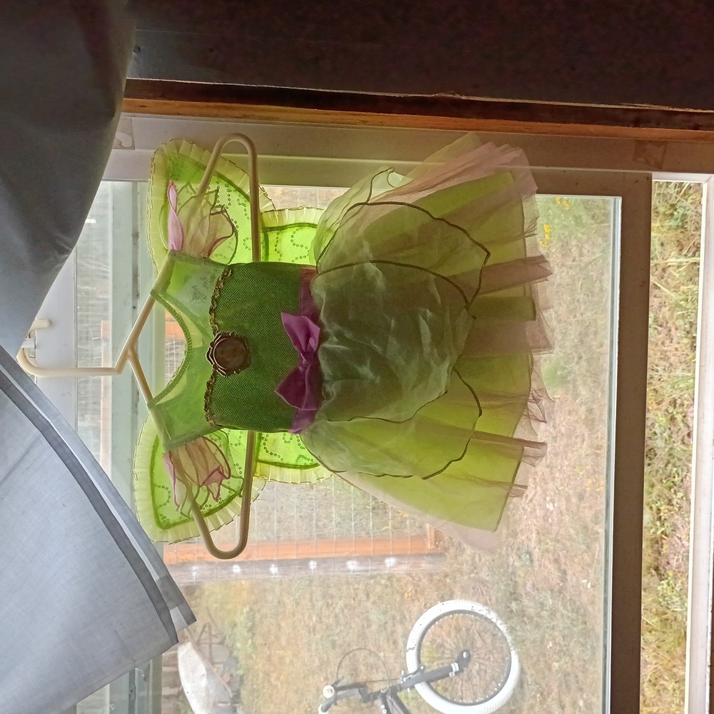 Disney Tinkerbell Fairy Costume with Pink Accents